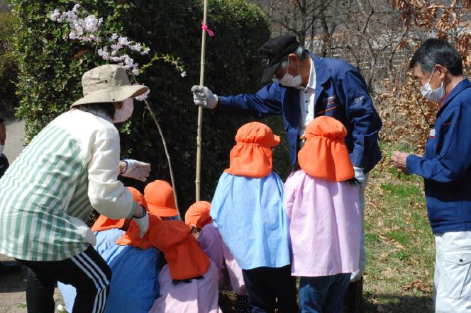 歴史公園桜の植樹・園児たちも参加　科野の里歴史公園の環境を考える会