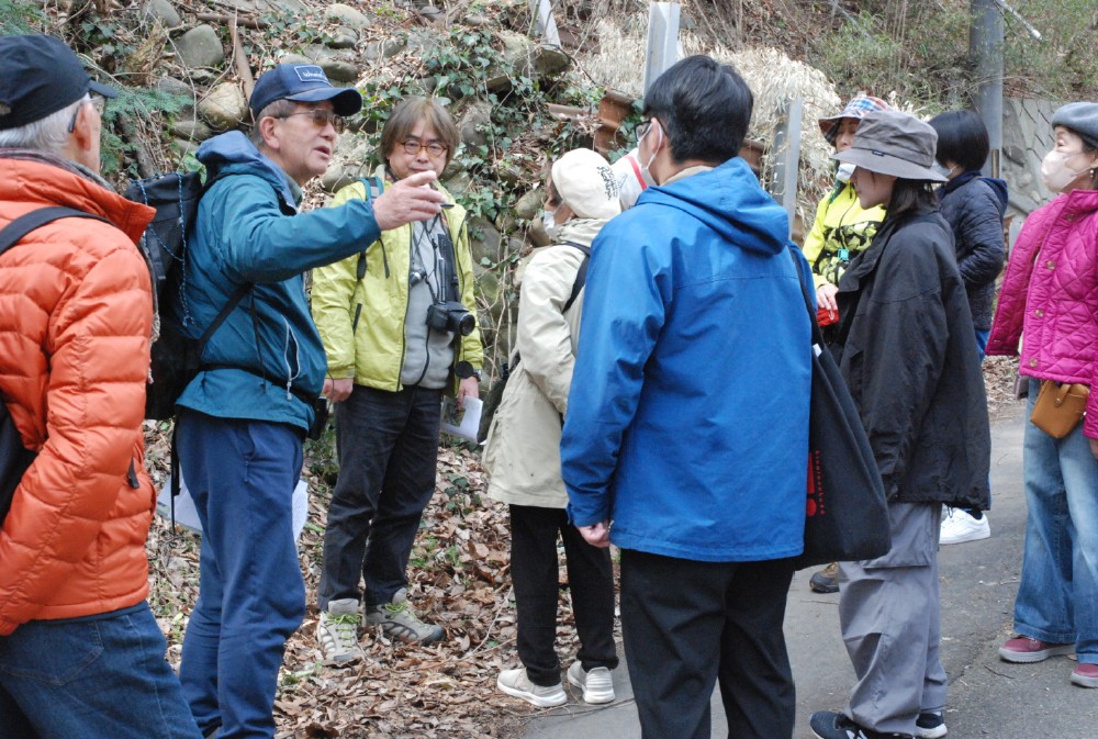 みどりのサポート隊　八王子山の自然観察会