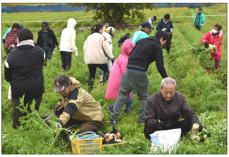 坂城町で「ねずみ大根まつり２０２５」