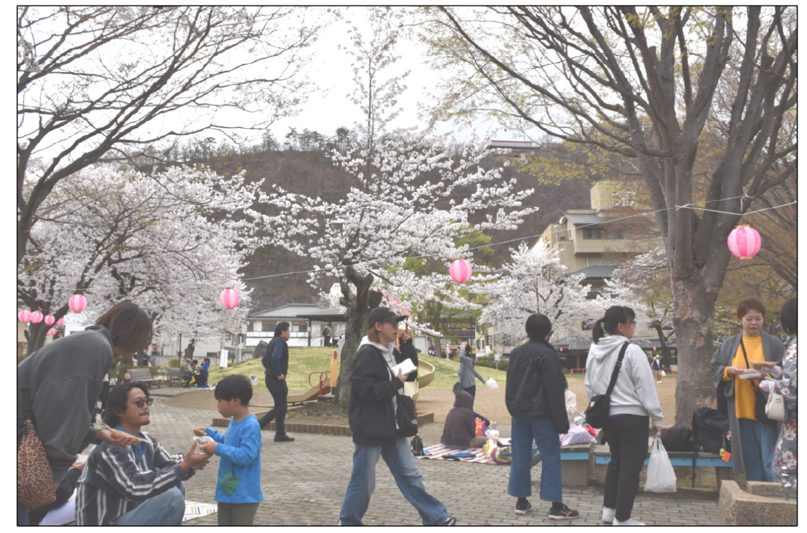 桜満開の上山田中央公園　おはなみ会