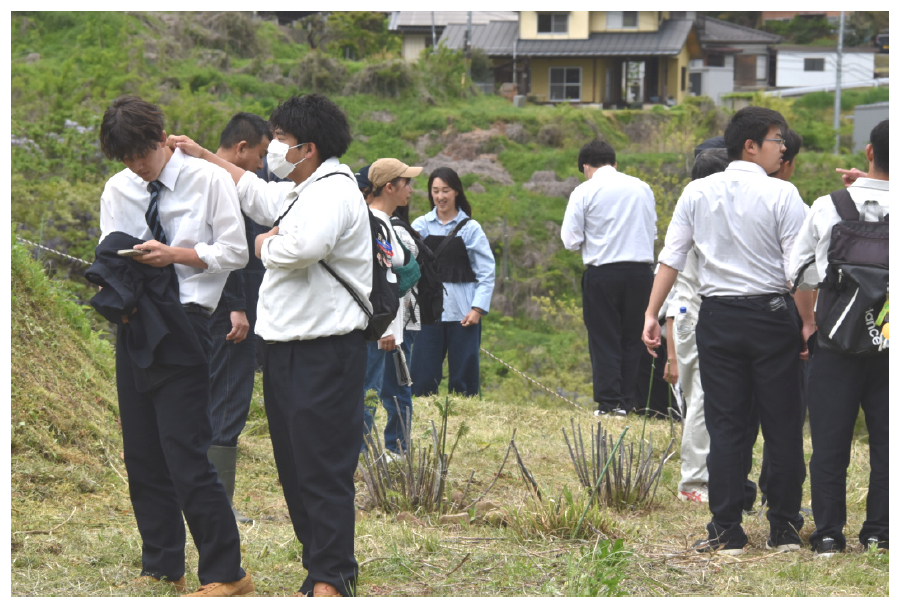 姨捨棚田のオオルリシジミ保存会　更級農業の生徒も放蛹に参加
