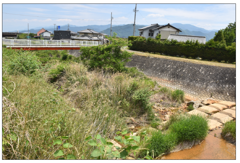 森・屋代など各地でクマが出没　市・警察・消防で警戒を呼び掛け